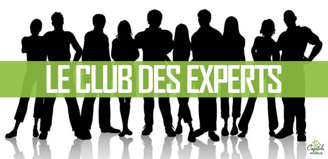Club des Experts